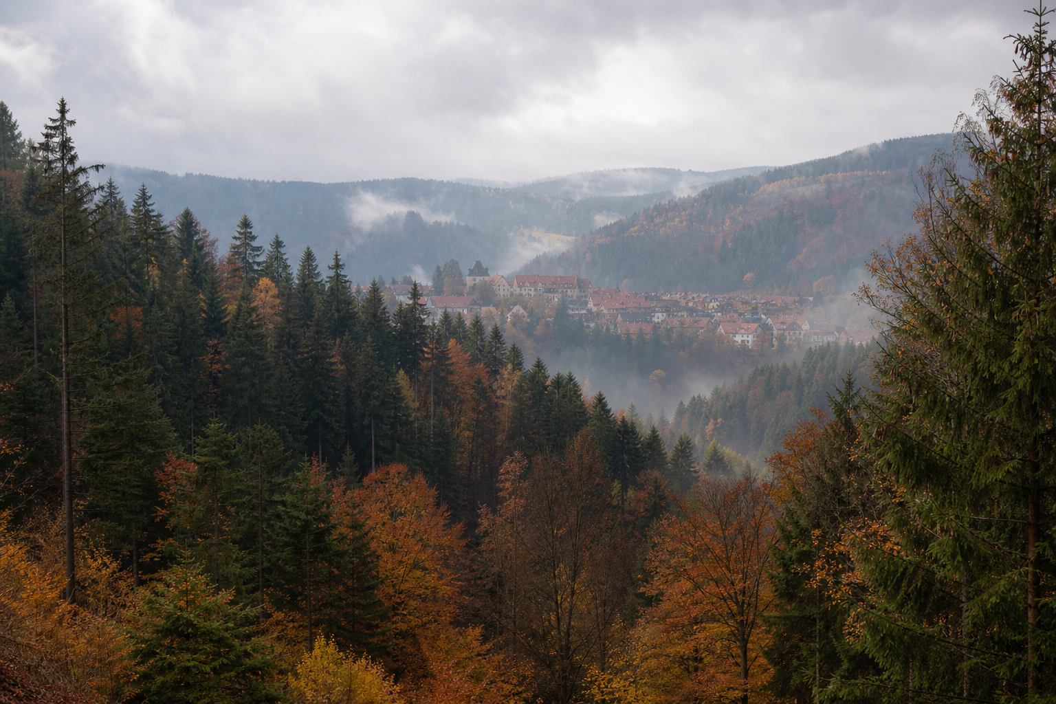 Herbstlicher Harzwald mit Blick auf eine Fachwerkstadt