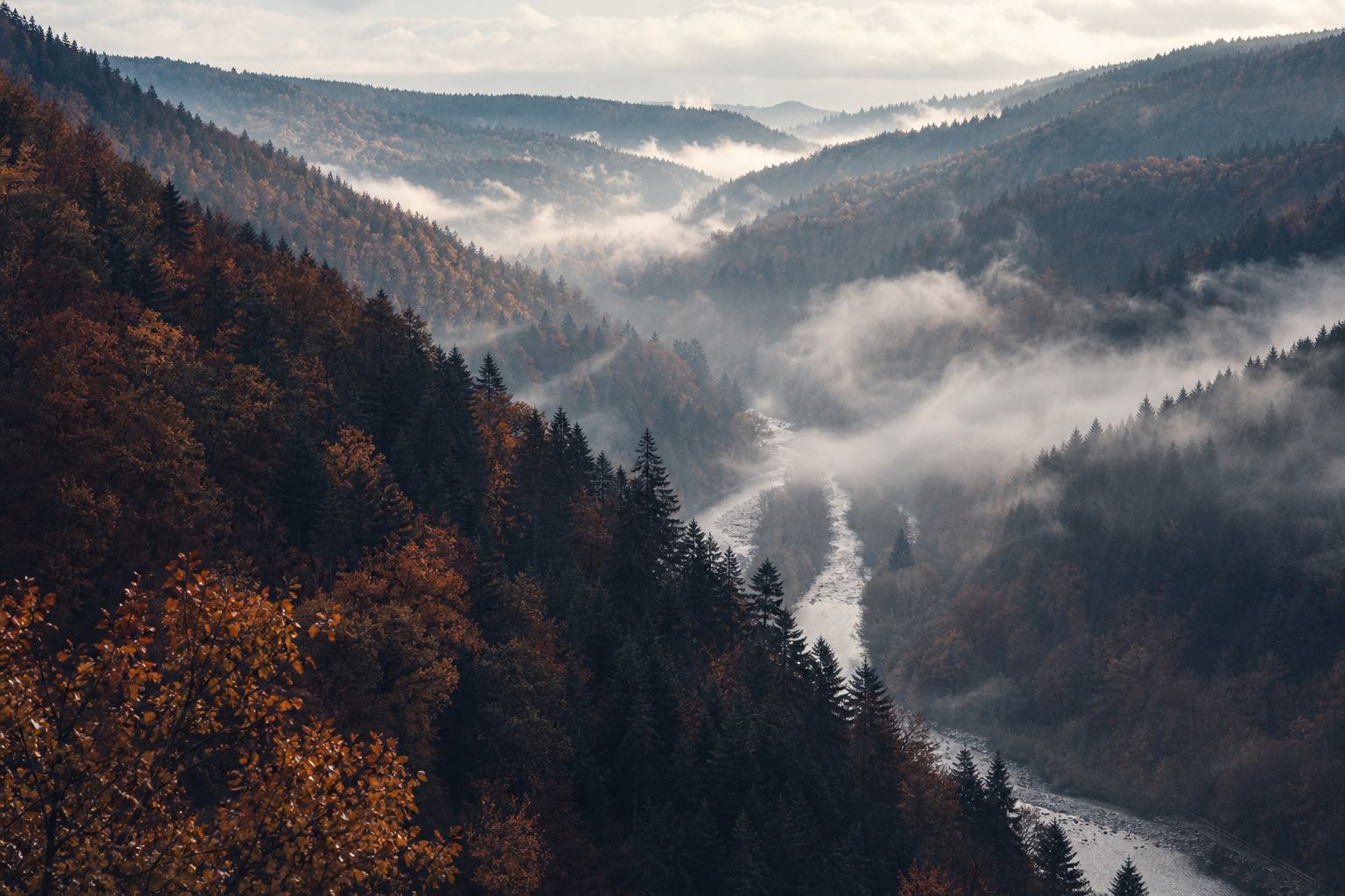 Herbstlicher Schwarzwald mit Nebel über einem silbrigen Flusstal